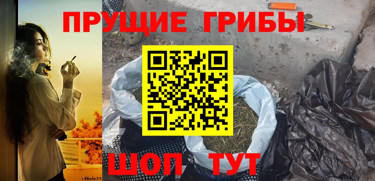 Карачаевск  Псилоцибиновые грибы Psilocybe  Галлюциногенные грибы мухоморы  даркнет сайт  Вход с VPN 