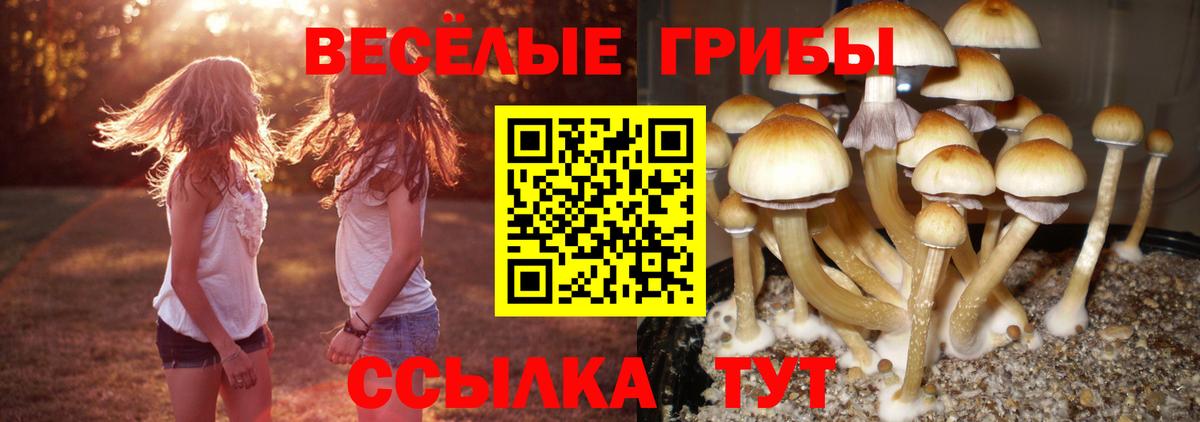 ТГК  Вход с VPN  Карачаевск  КОКАИН  ГАШ  Меф МЯУ МЯУ   Гашиш  Канабис  КЕТАМИН 