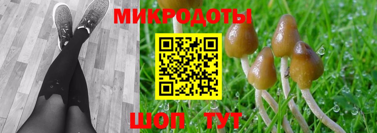 Галлюциногенные грибы ЛСД Карачаевск