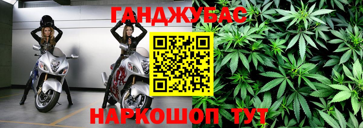 Каннабис сатива  Вход с VPN  Бошки марихуана марихуана  Карачаевск  Марихуана сатива 